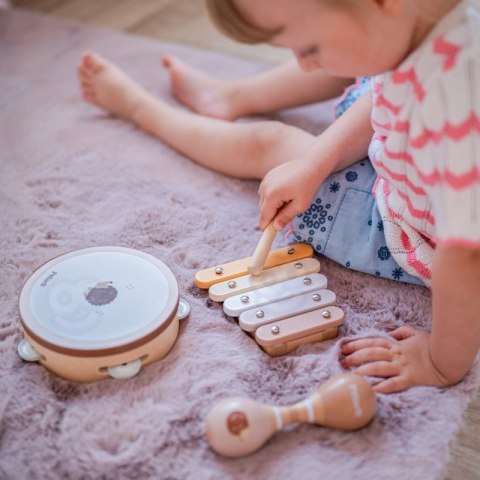 VIGA PolarB Zestaw Instrumentów Muzycznych Z Jeżykiem VIGA PolarB Zestaw Instrumentów Muzycznych Z Jeżykiem