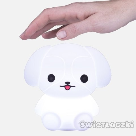 Świetlaczek piesełek mm027 MESCOMP Świetlaczek piesełek mm027 MESCOMP
